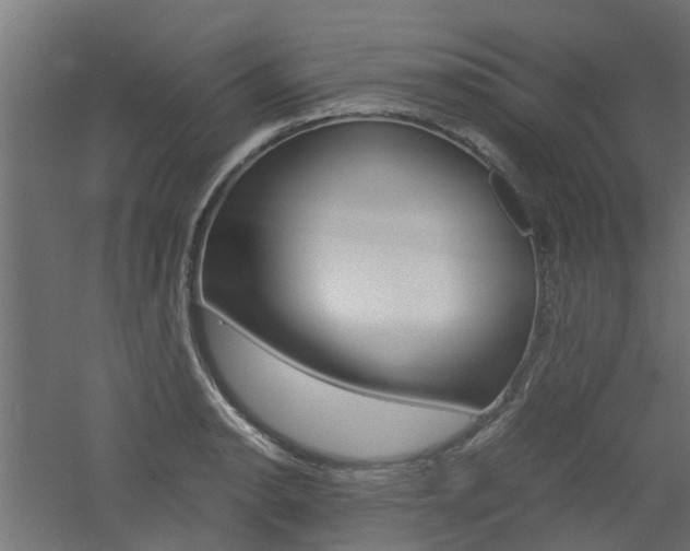 X0000060781134200511101001