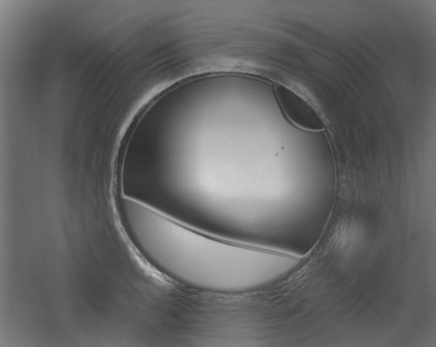 X0000060781136200511101001