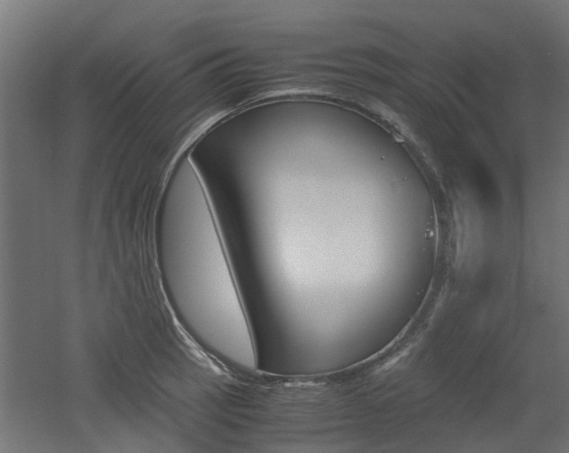 X0000060781137200511101001