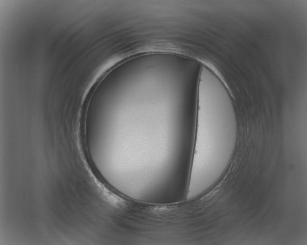 X0000060781139200511101001