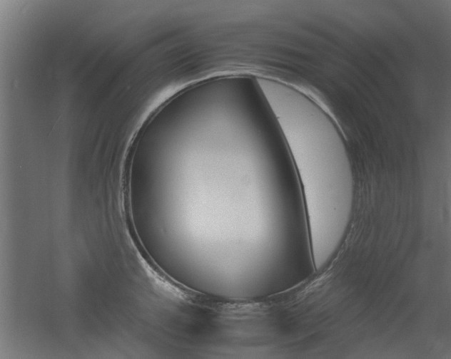 X0000060781143200511101001