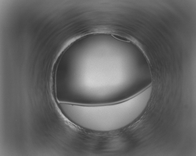 X0000060781147200511101001