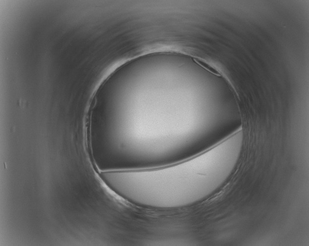 X0000060781151200511101001