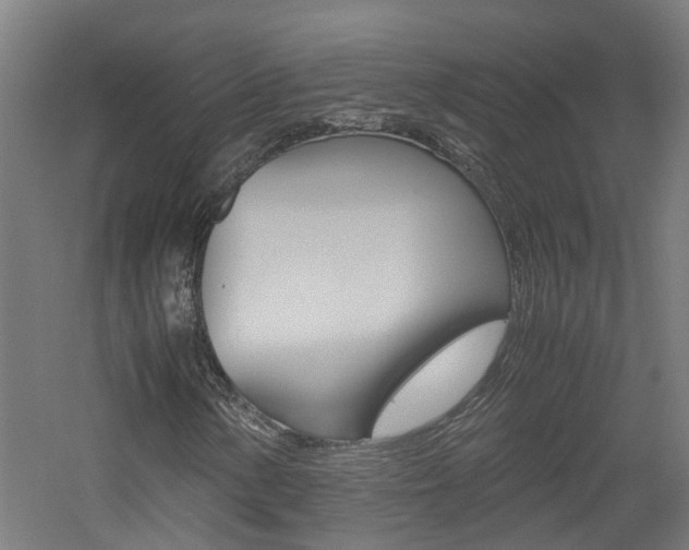 X0000060781154200511101001