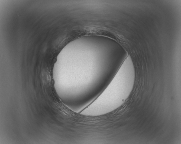 X0000060781155200511101001