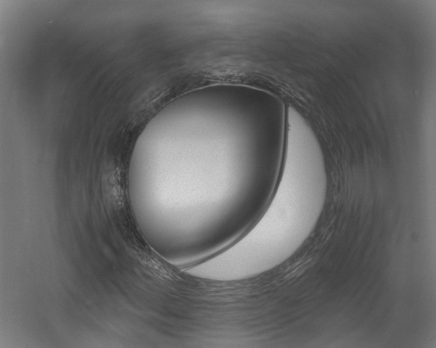 X0000060781156200511101001