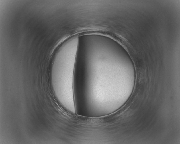 X0000060781163200511101001