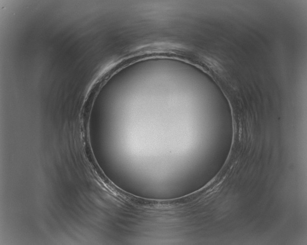 X0000060781164200511101001