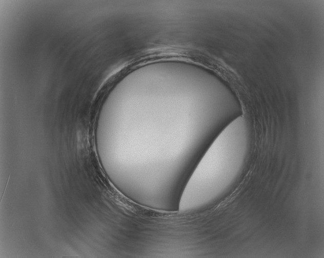 X0000060781166200511101000