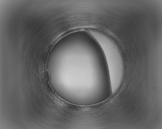 X0000060781169200511101000
