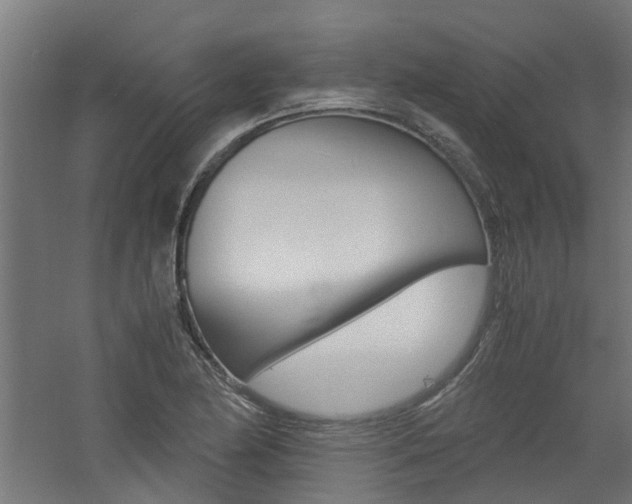 X0000060781174200511101000