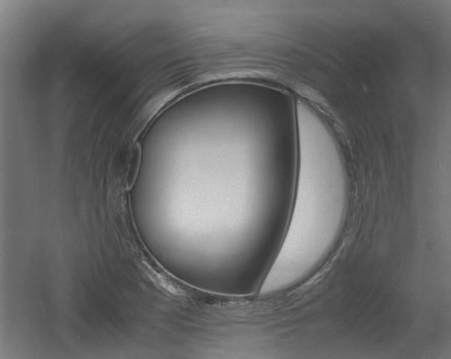 X0000060781177200511101000