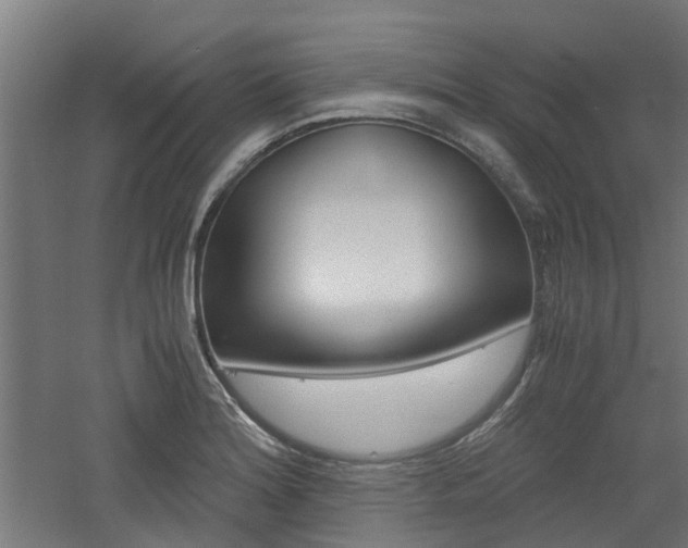 X0000060781180200511101000