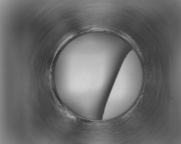 X0000060781190200511101000