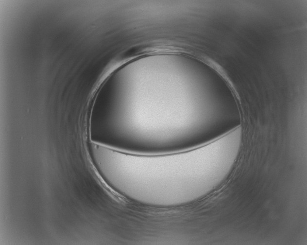 X0000060781195200511101000