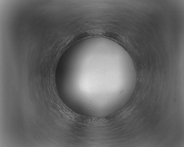 X0000060781201200511100959