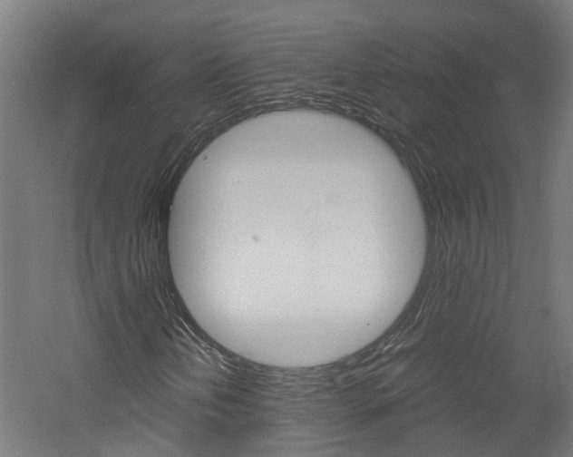 X0000060781202200511100959