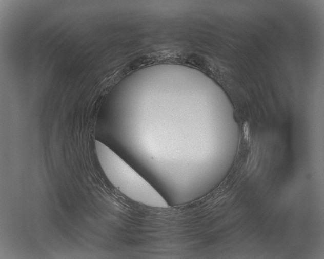 X0000060781203200511100959