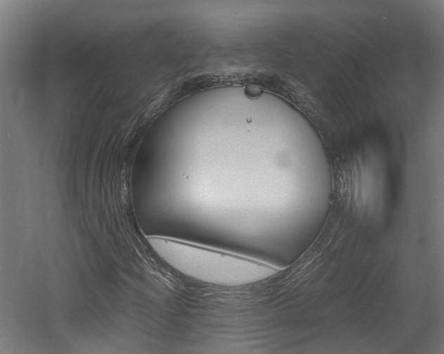 X0000060781204200511100959