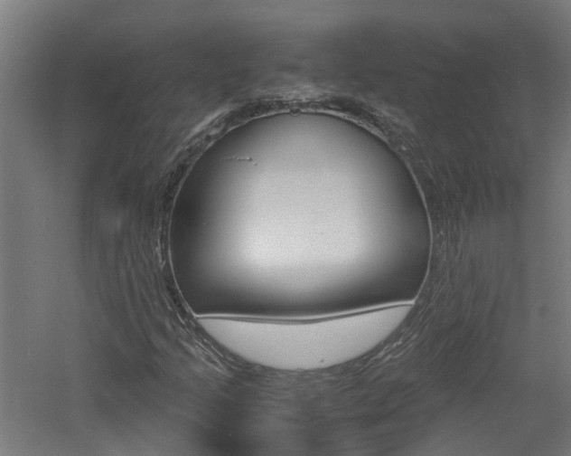 X0000060781205200511100959