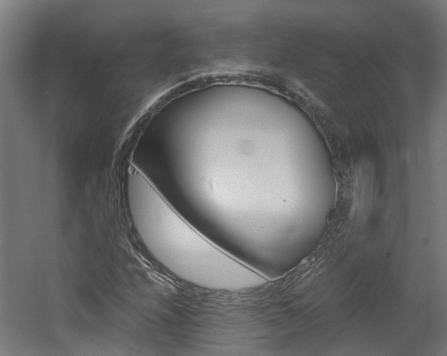 X0000060781208200511100959