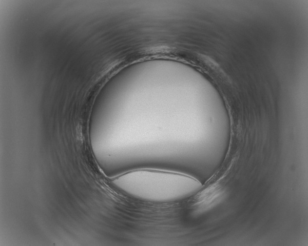 X0000060781209200511100959
