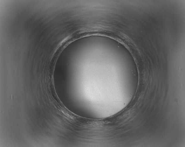 X0000060781210200511100959