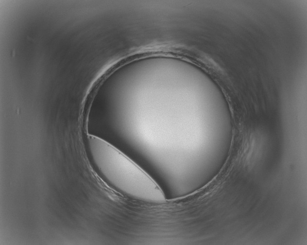 X0000060781216200511100959