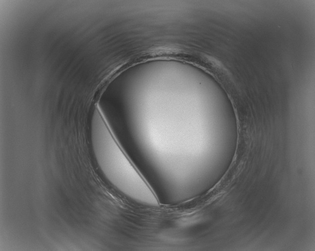 X0000060781217200511100959