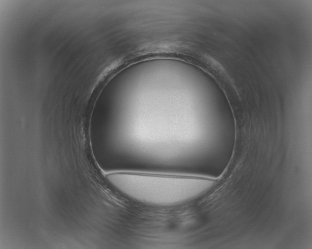 X0000060781218200511100959