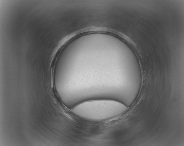 X0000060781223200511100959