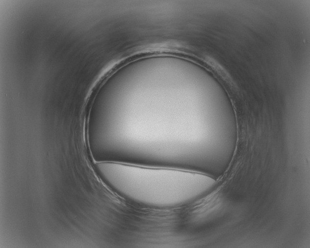X0000060781224200511100959