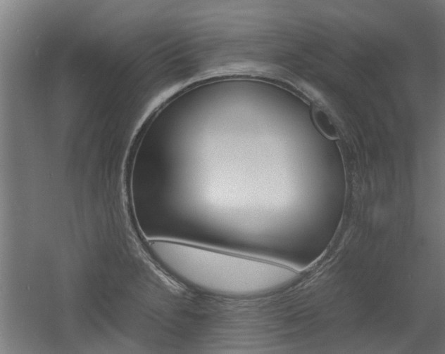 X0000060781230200511101000