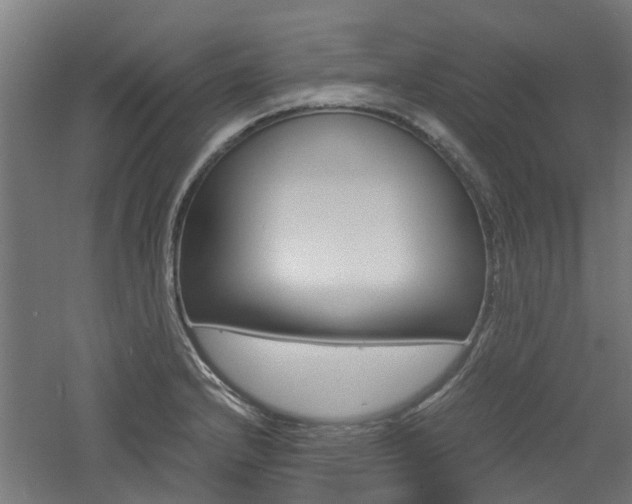 X0000060781232200511101000