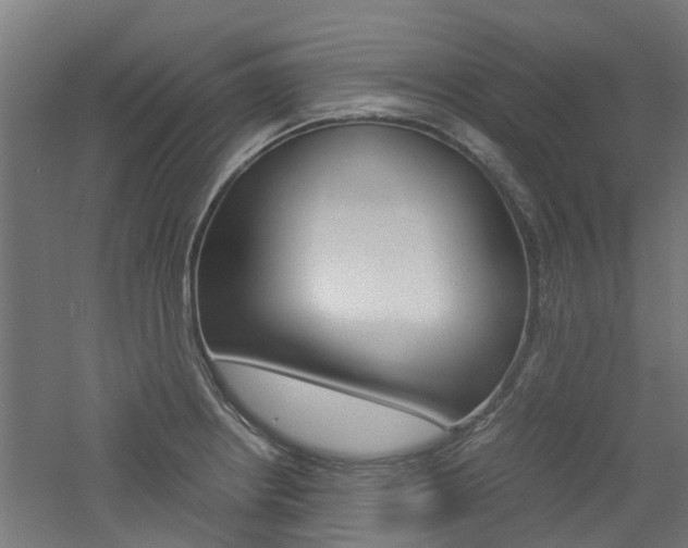 X0000060781234200511101000