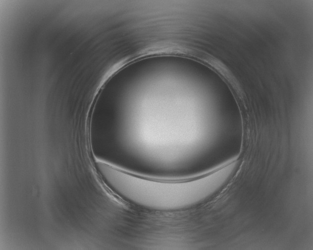 X0000060781242200511101000