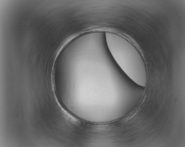 X0000060781247200511101000