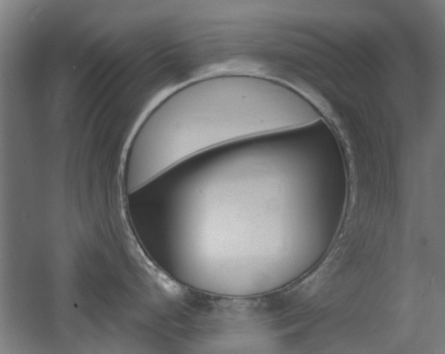 X0000060781248200511101000