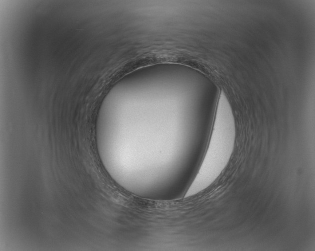X0000060781249200511100959