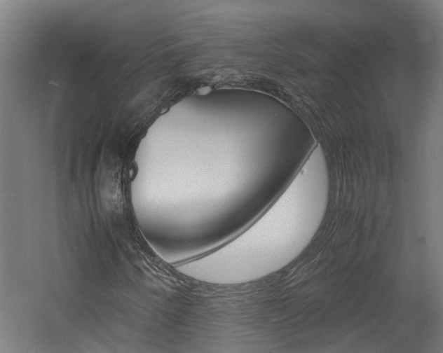 X0000060781250200511100959