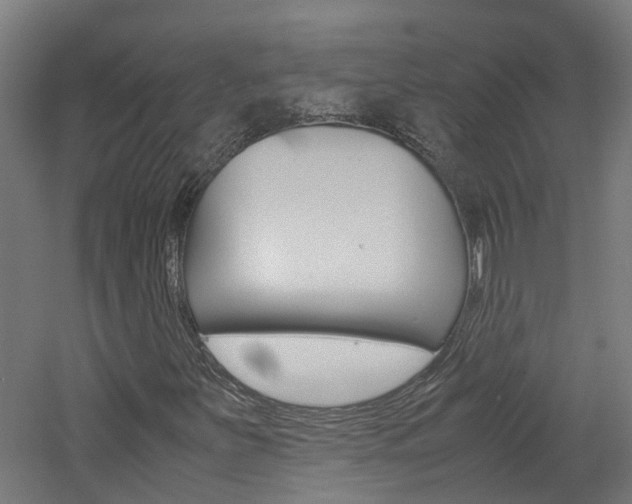 X0000060781251200511100959