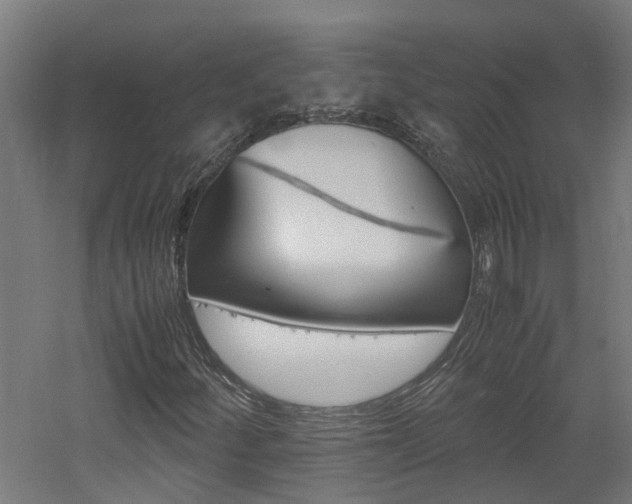 X0000060781252200511100959