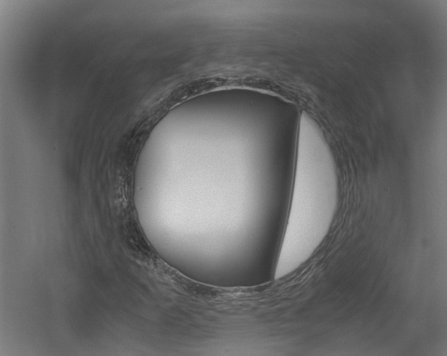 X0000060781253200511100959