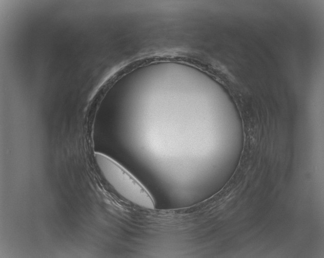 X0000060781256200511100959