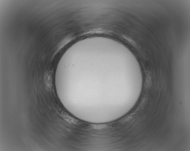 X0000060781258200511100959