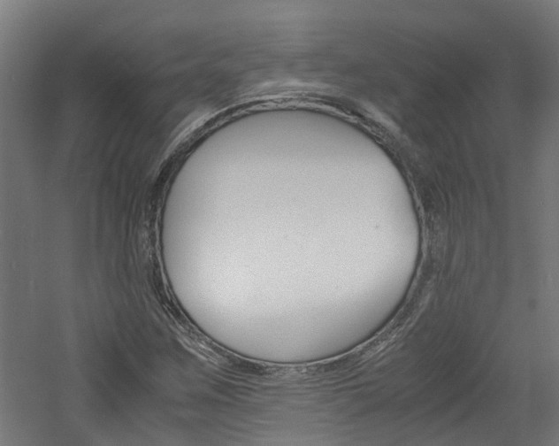 X0000060781259200511100959