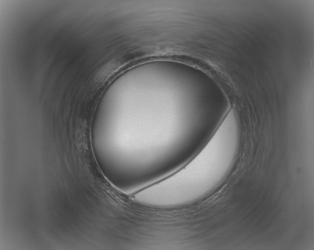 X0000060781265200511100959