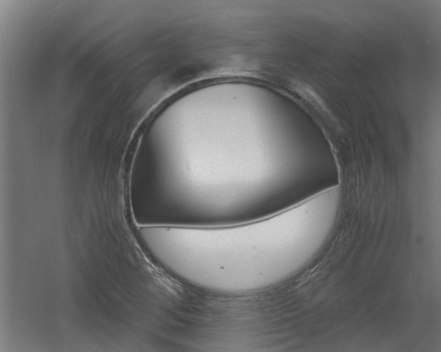 X0000060781268200511100959