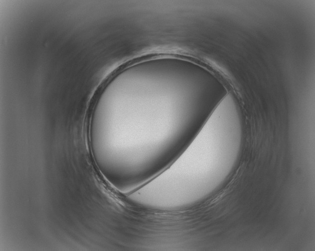 X0000060781272200511100959