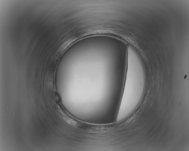 X0000060781273200511100959